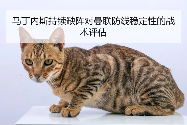 马丁内斯持续缺阵对曼联防线稳定性的战术评估